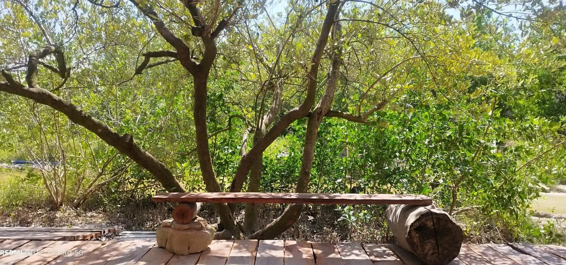 Campeggio Casa Pescadores Camping Isola Holbox