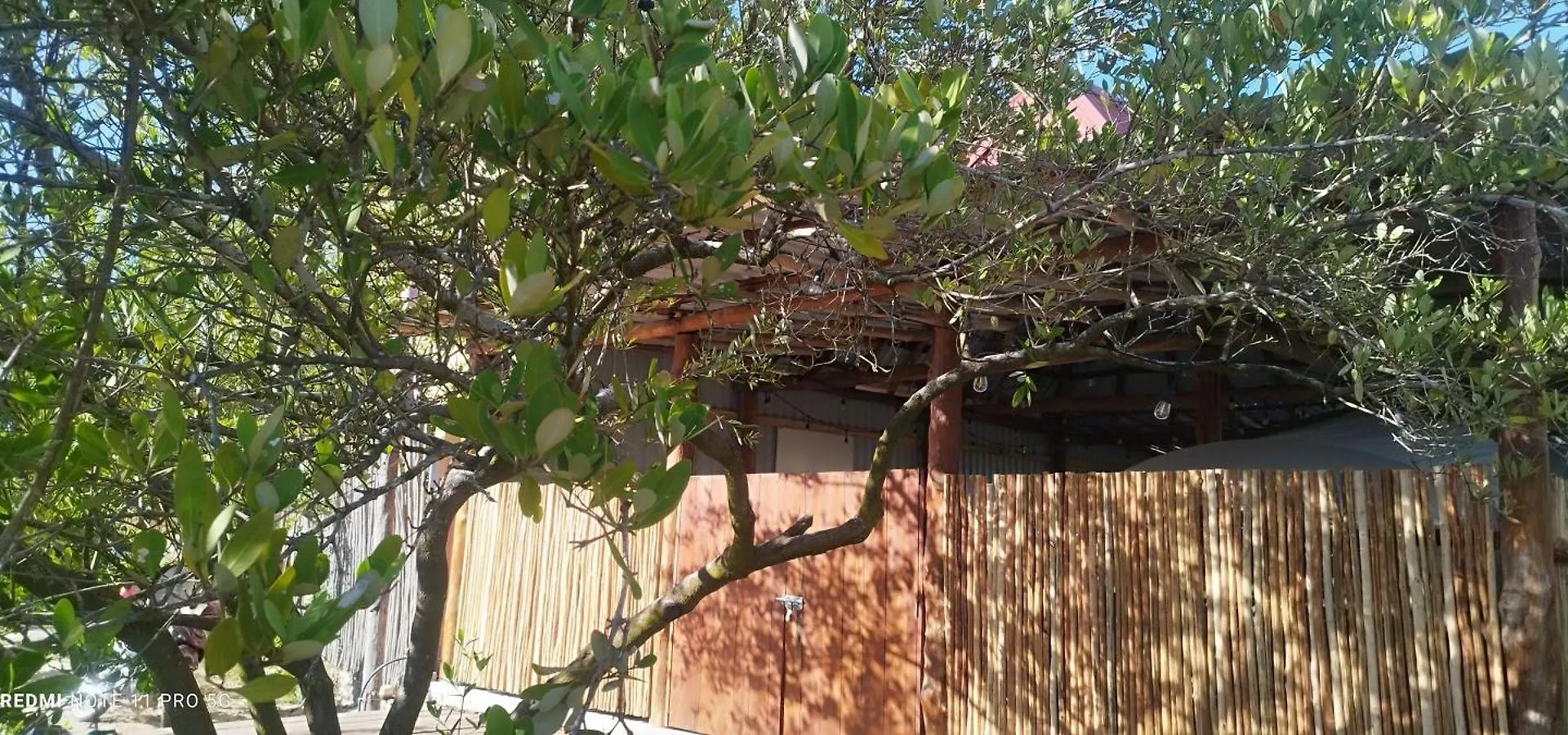 Casa Pescadores Camping Holbox